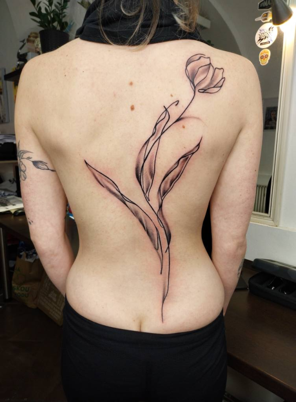 Foto na hlavní stránce